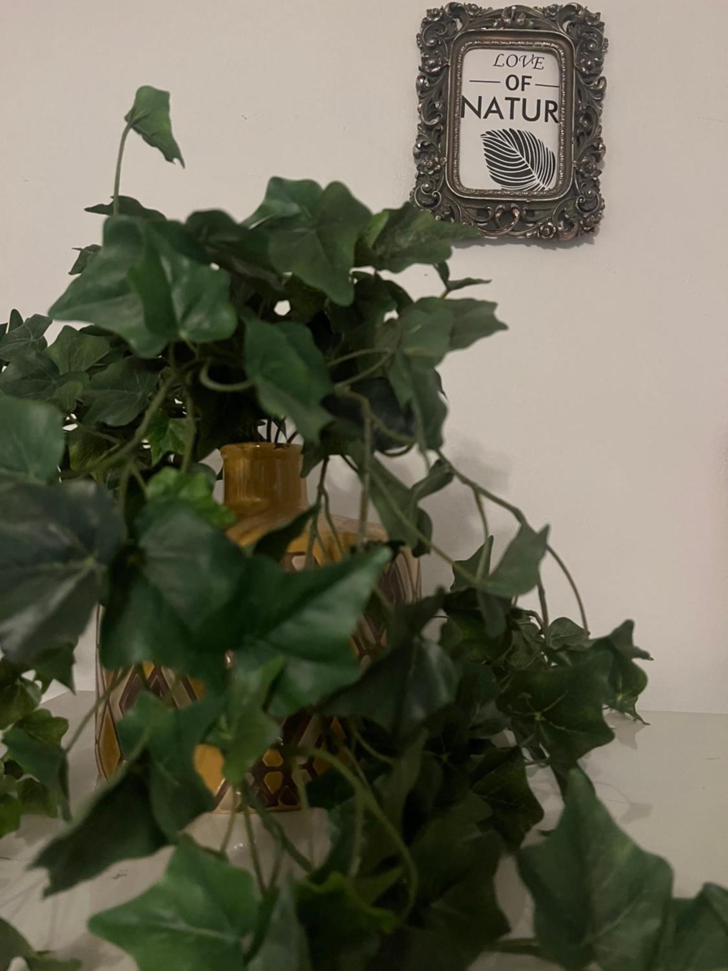 Lamda Vintage Appartment Athén Kültér fotó